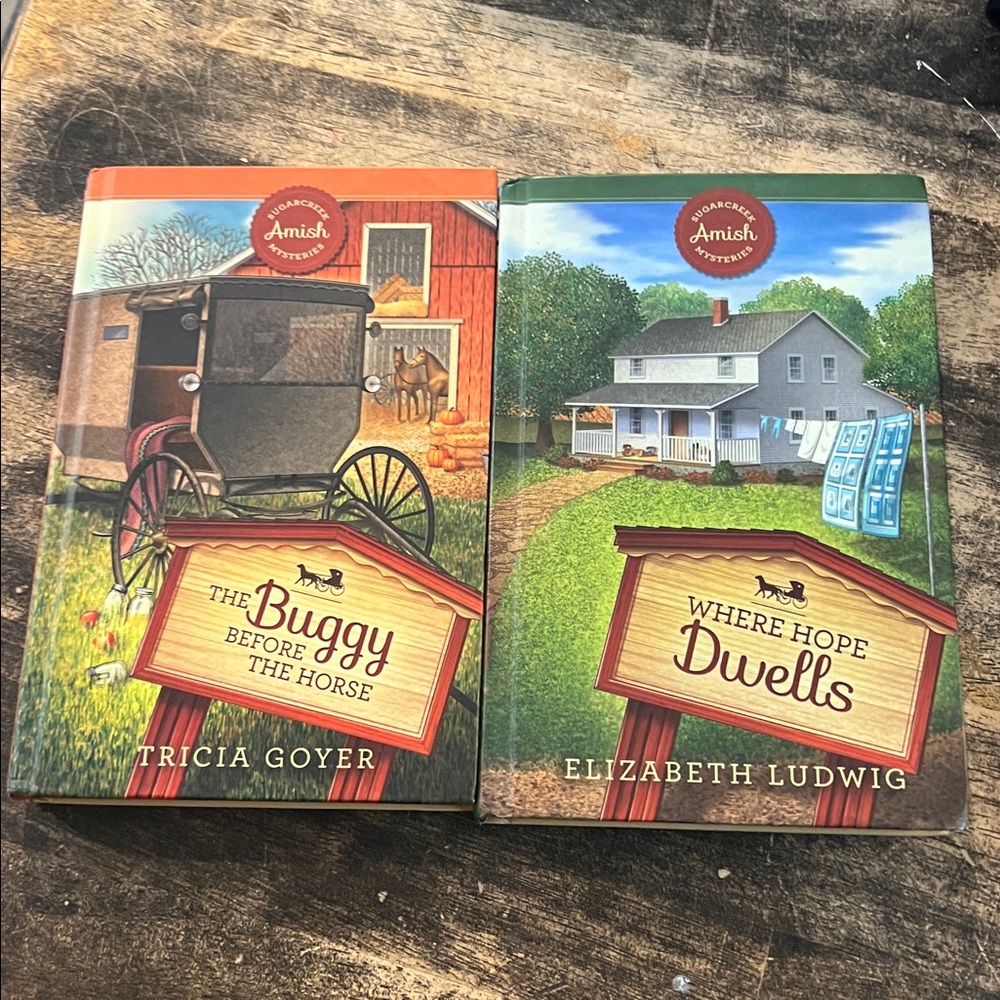 Sugar creek Amish mystery books